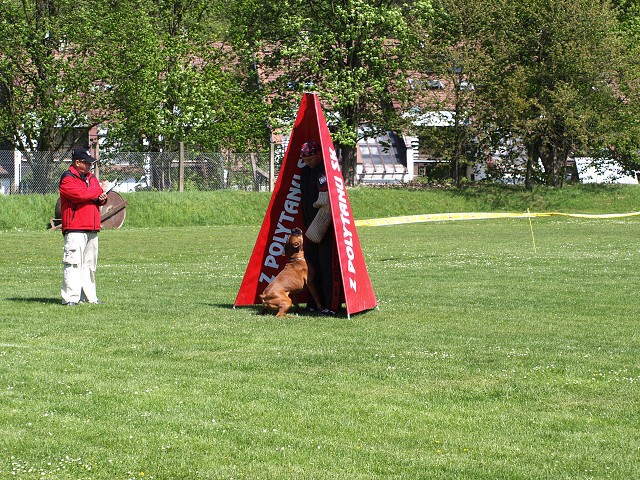 www.atibox.net * www.euroboxer.eu * www.boxergenealogia.eu